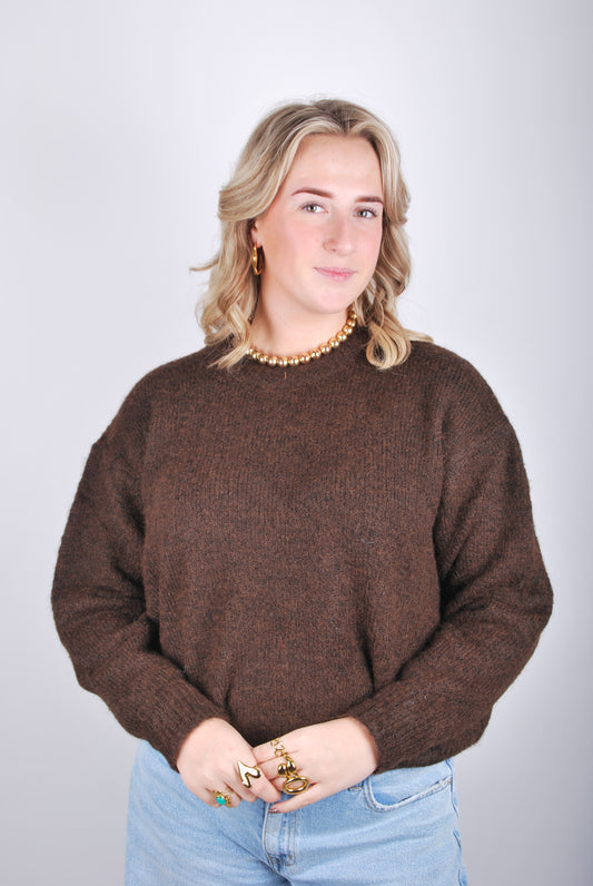 Noor Trui - Bruin
